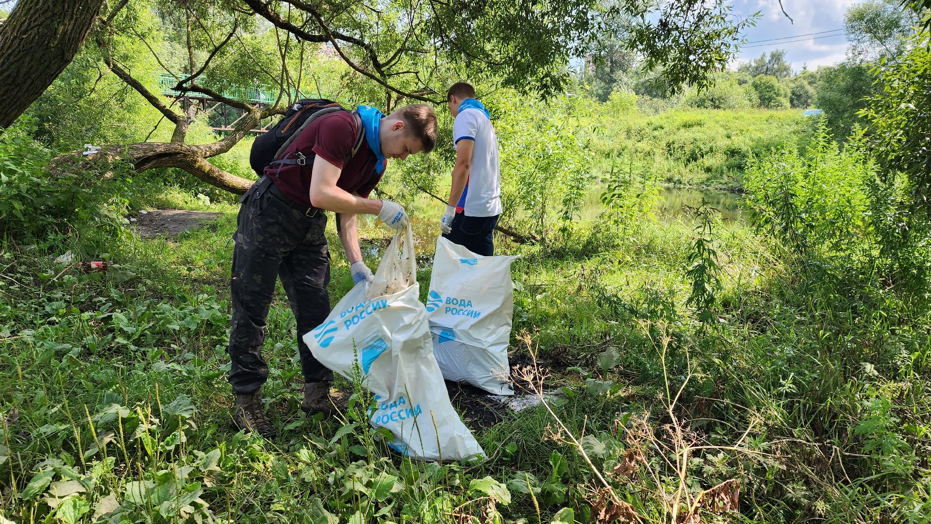 истра, вода россии, очистка берега,