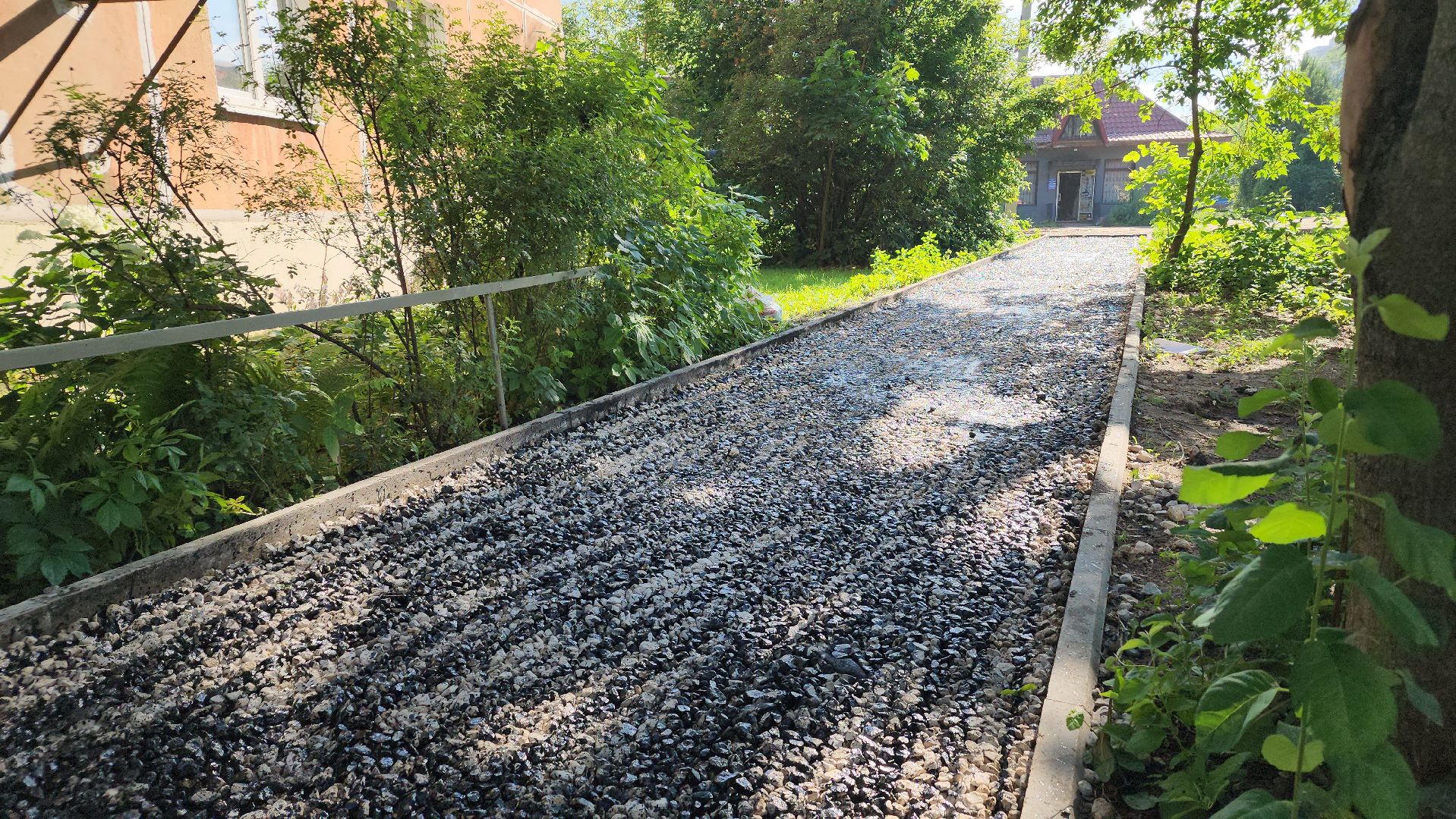 благоустройство, народные тропы, программа пешком, лосино-петровский,