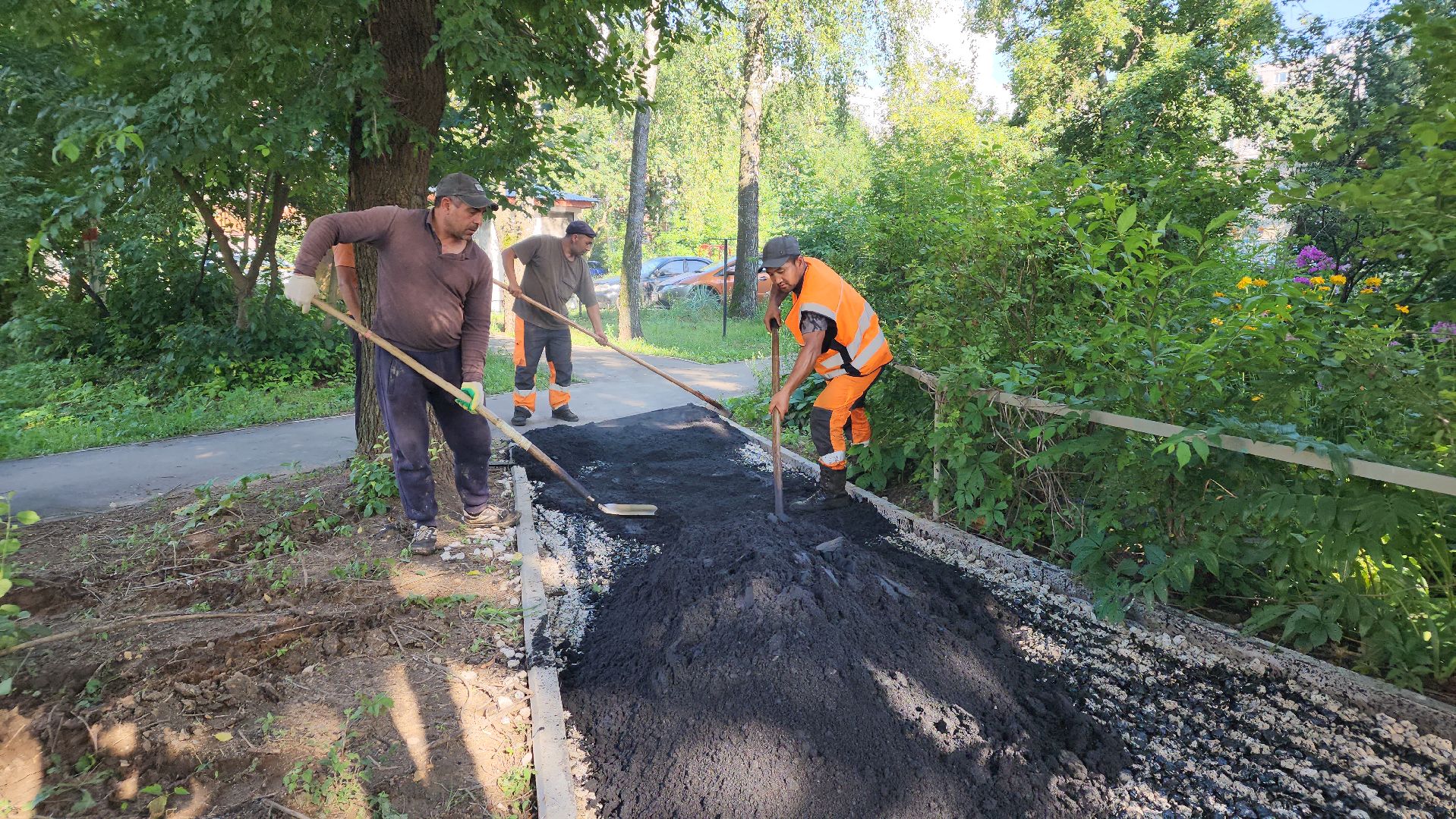 благоустройство, народные тропы, программа пешком, лосино-петровский,