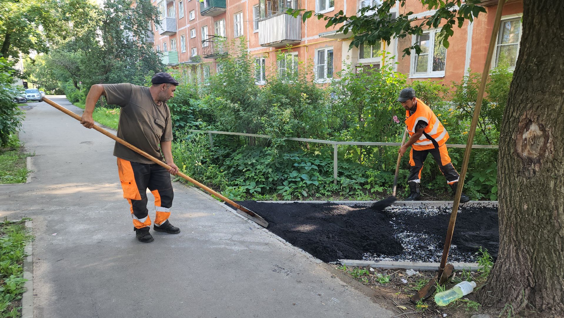благоустройство, народные тропы, программа пешком, лосино-петровский,
