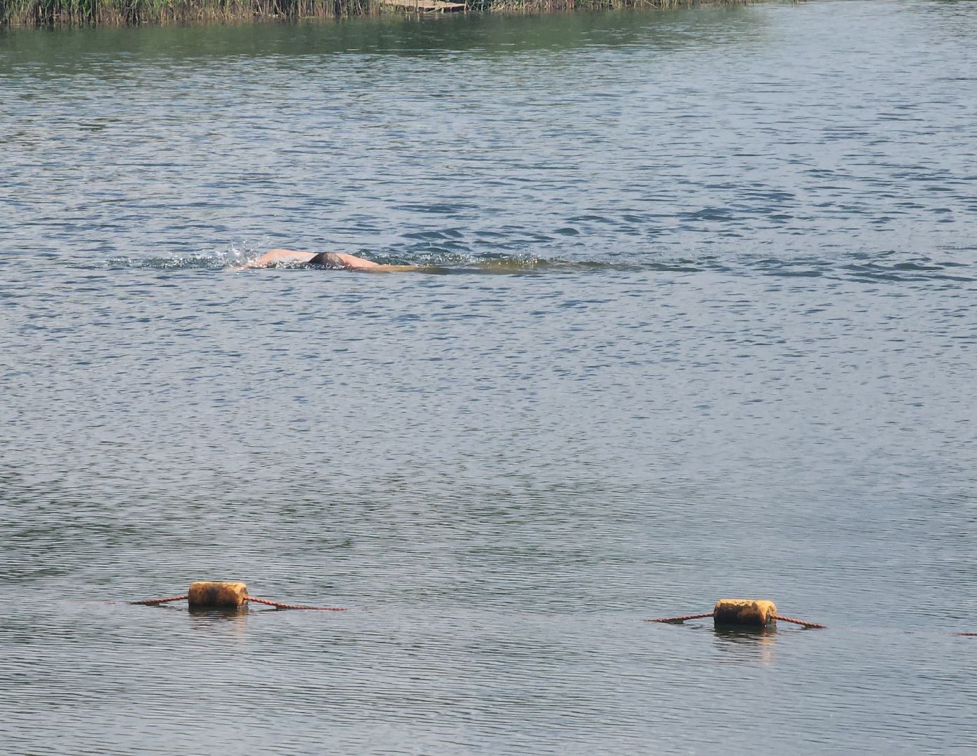 благоустройство 2025, купальный сезон, орехово-зуевский округ, давыдово,