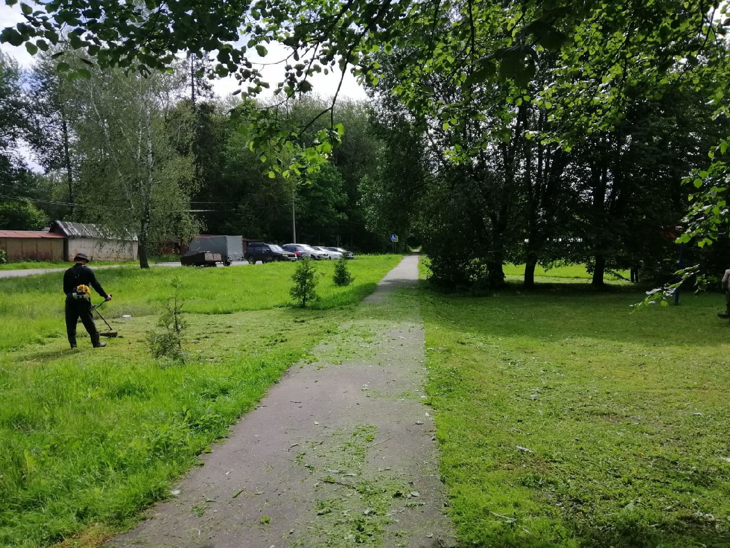 благоустройство, городской округ восход, покос травы, газон,