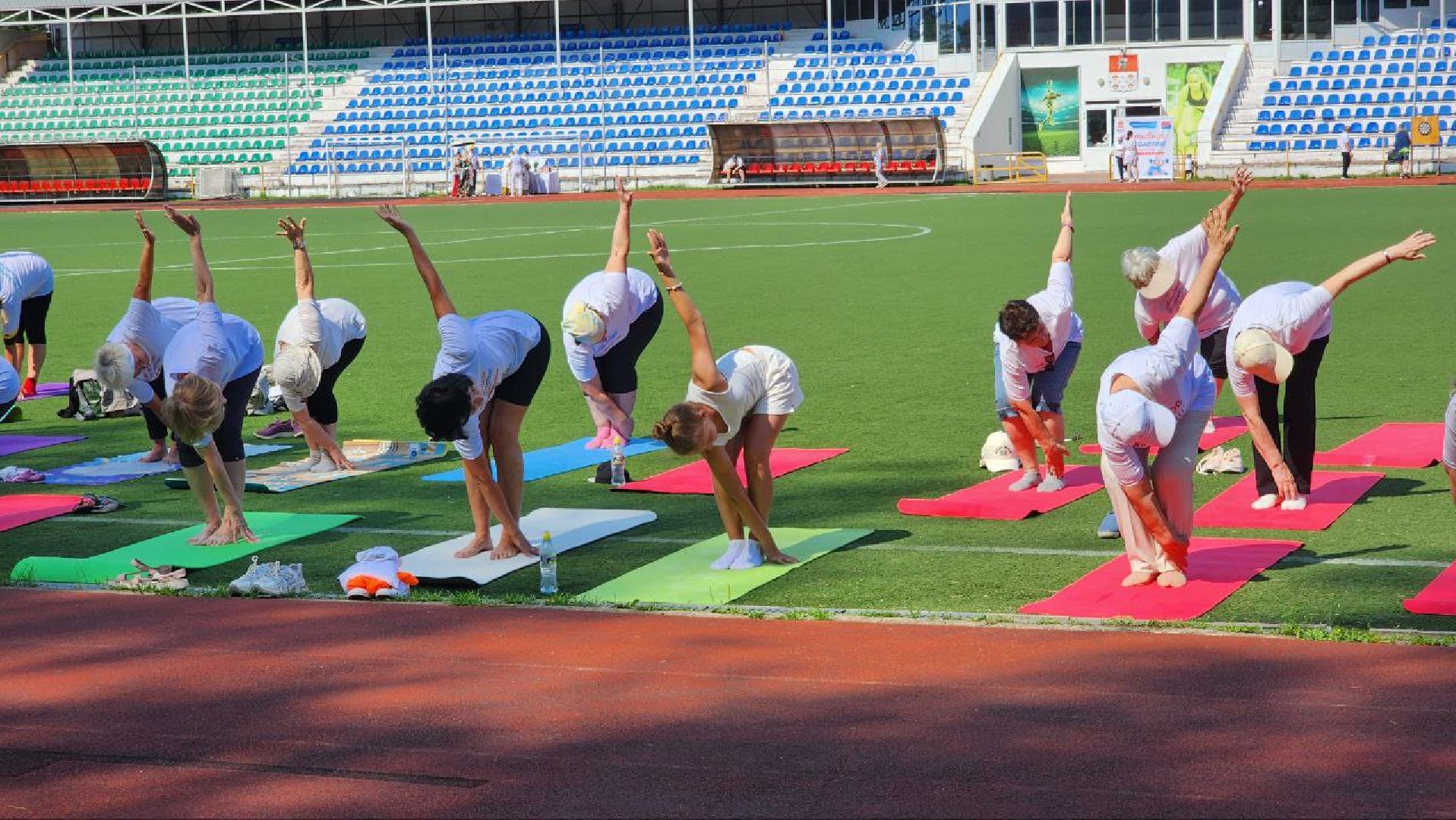 Дмитров, Активное долголетие, Фестиваль долголетов, Минсоцзащиты,