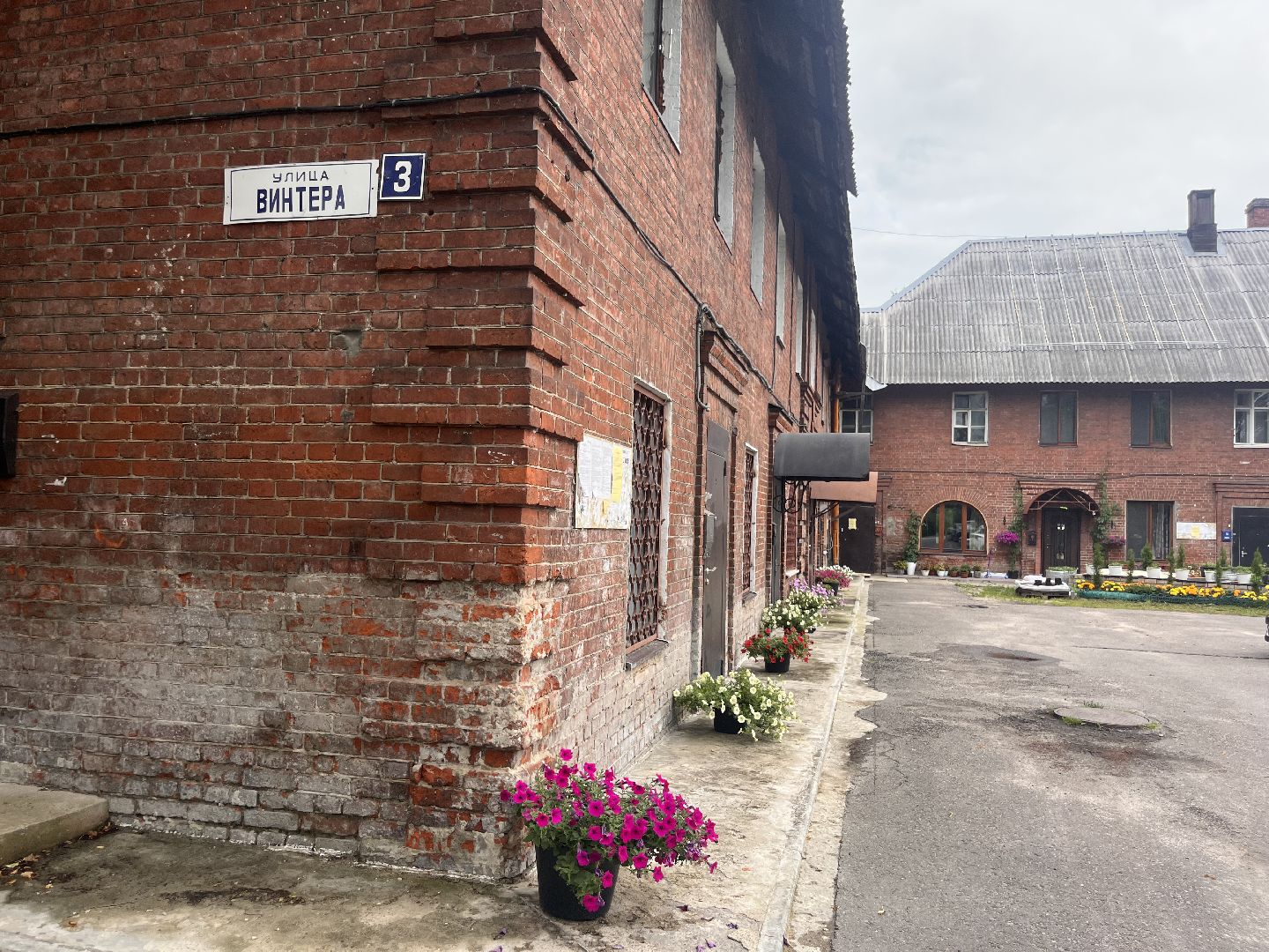 шатура, Цветы,