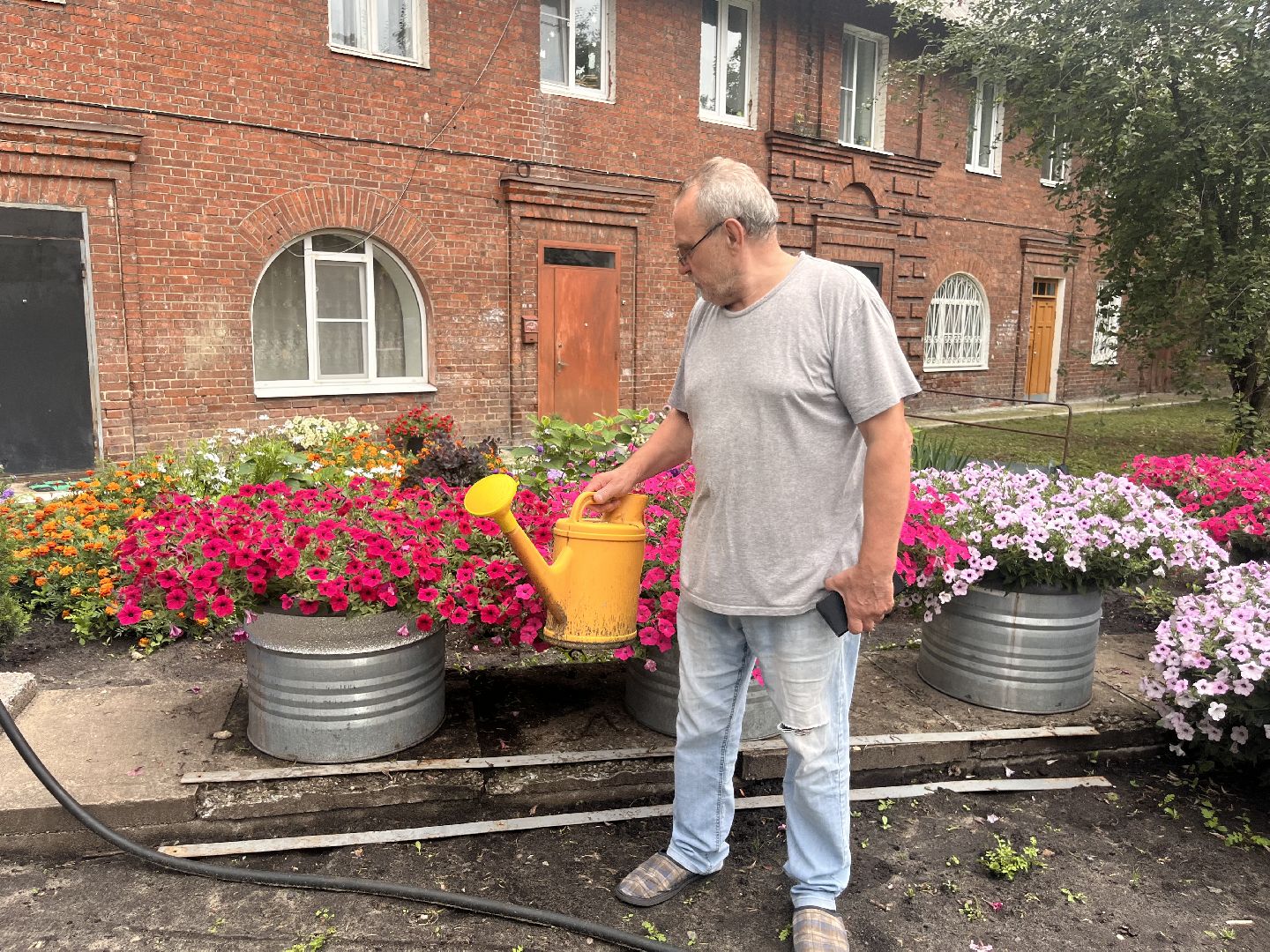 шатура, Цветы,