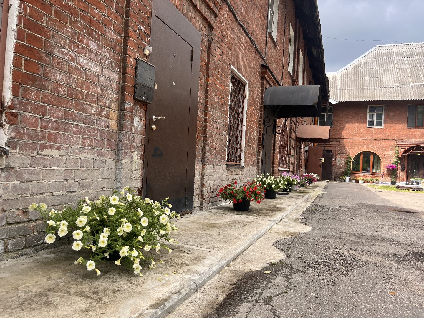 шатура, Цветы,