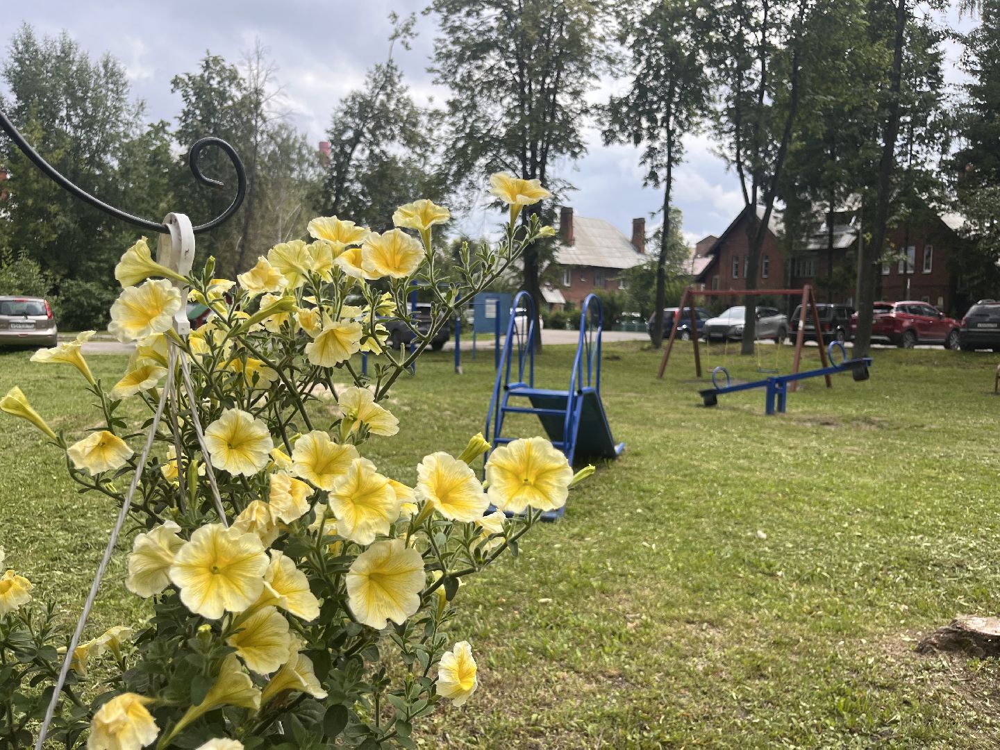 шатура, Цветы,