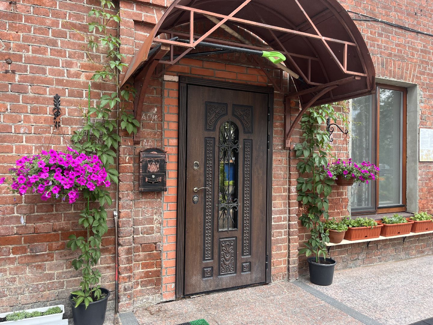 шатура, Цветы,