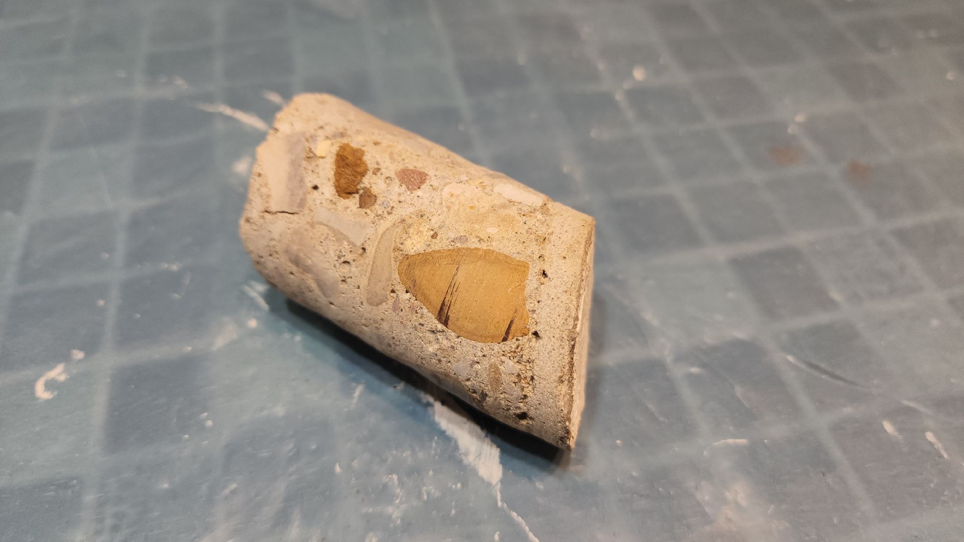 флорист, красногорск, краеведение,