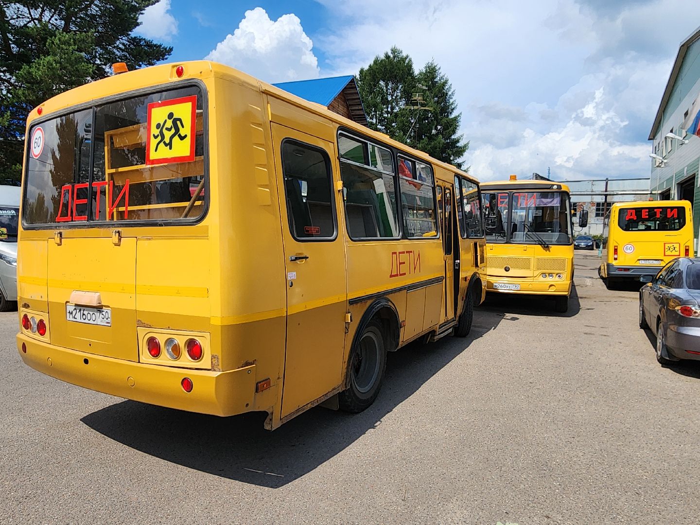 чехов, новые школьные автобусы, перевозка детей, хранение автобусов, техобслуживание, техосмотры, постановка транспорта на учет, компания автотранссервис-16, безопасность,  комфорт, подготовка к новому учебному году, правительство московской области, губернатор подмосковья,село новый быт, поселок любучаны,