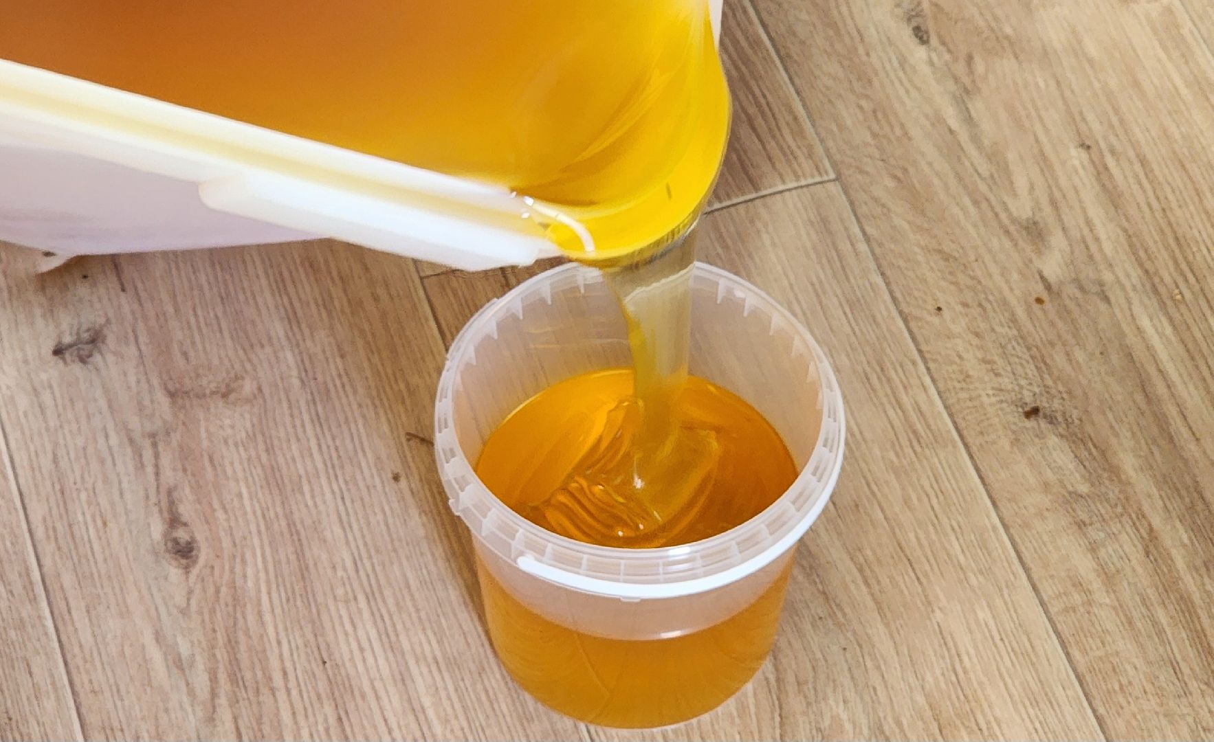 солнечногорск, пасека, заовражье, сельское хозяйство, мед,