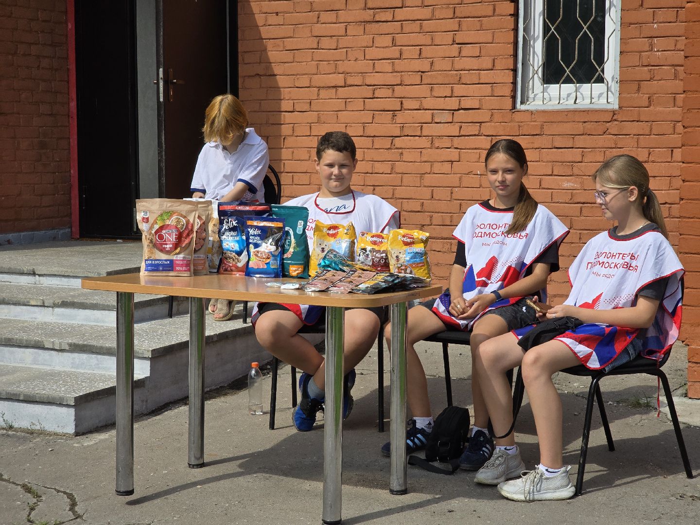 Коломна, помощь бездомным животным, волонтеры подмосковья,