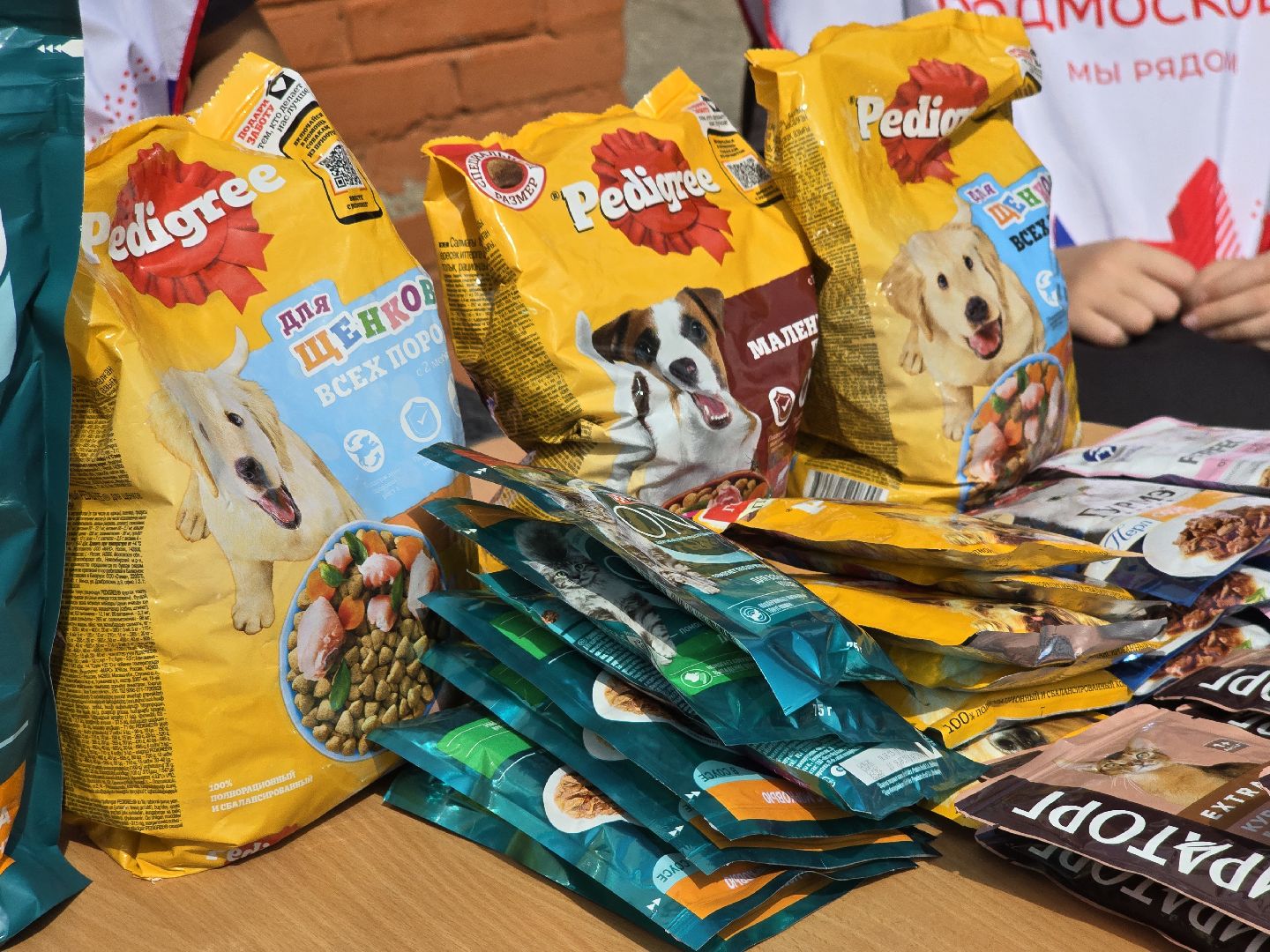 Коломна, помощь бездомным животным, волонтеры подмосковья,