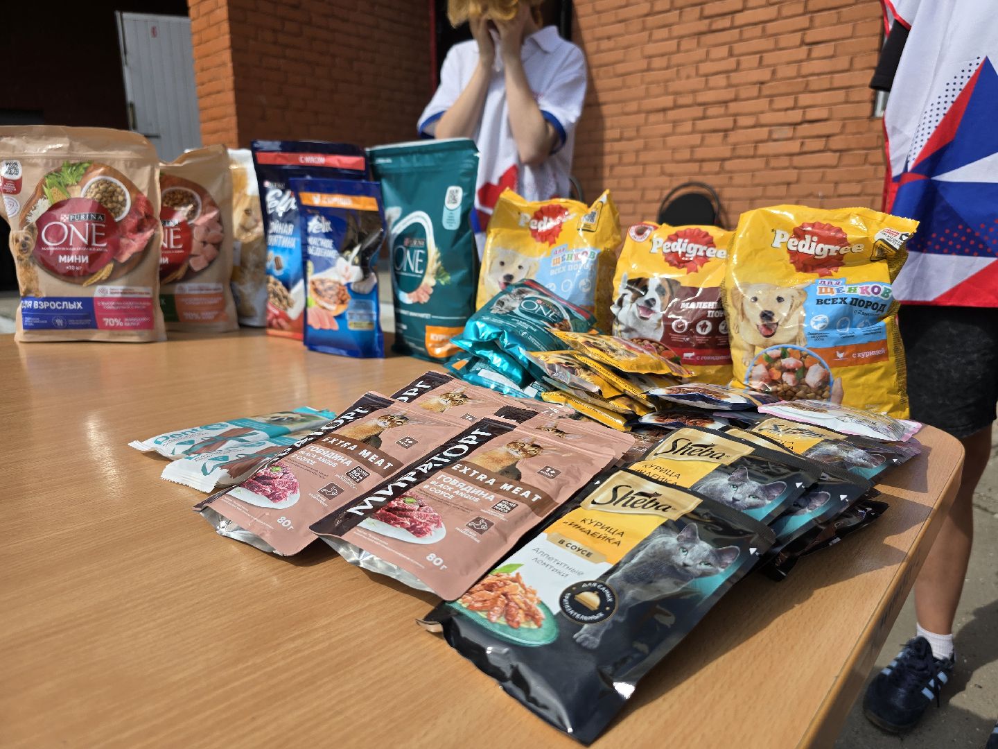 Коломна, помощь бездомным животным, волонтеры подмосковья,