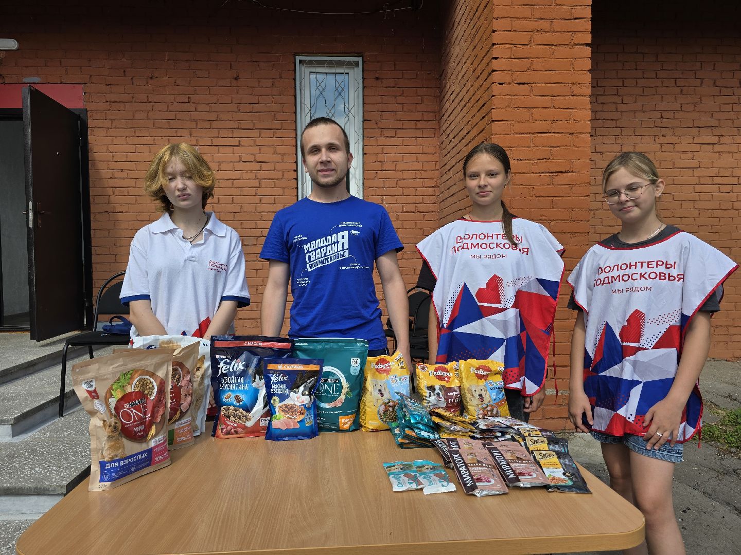 Коломна, помощь бездомным животным, волонтеры подмосковья,