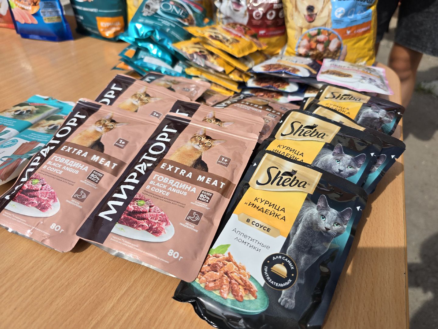 Коломна, помощь бездомным животным, волонтеры подмосковья,