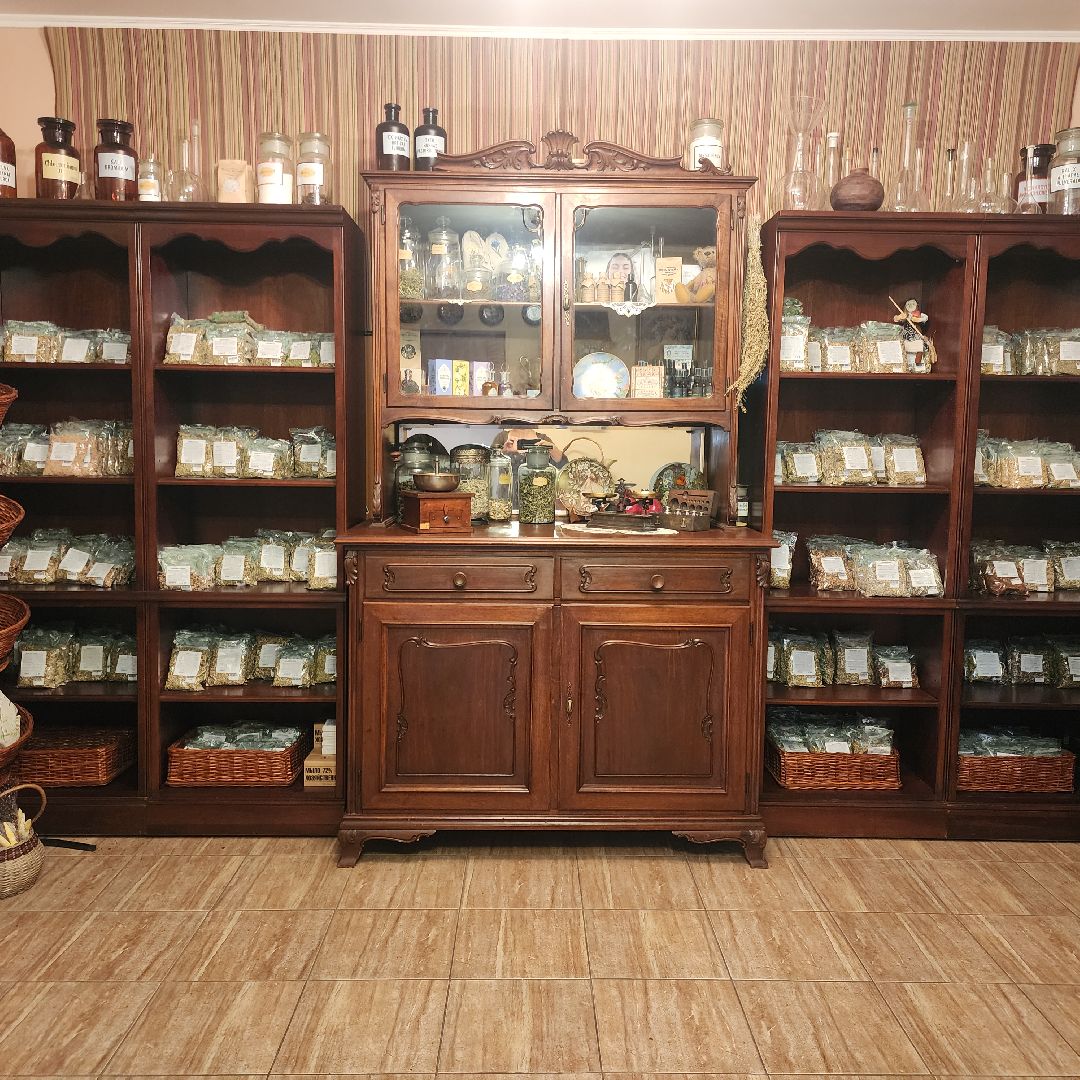 Здоровье,  Народная медицина , Фитотерапия , Общество , Люди Звенигорода ,