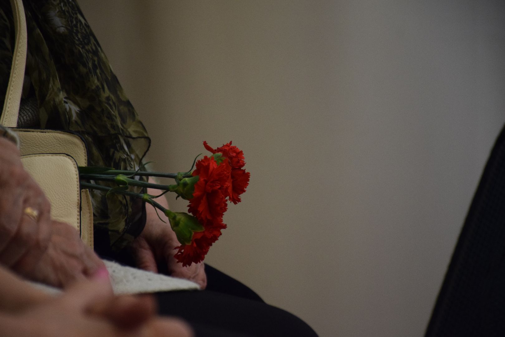 Павловский Посад, городской округ Павловский Посад, ветераны, открытки, концерт