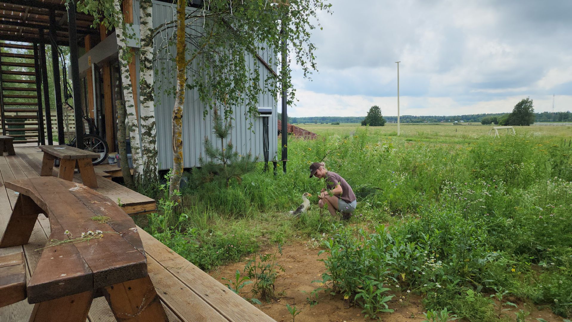 ступино, экопарк, туризм, лето в подмосковье,
