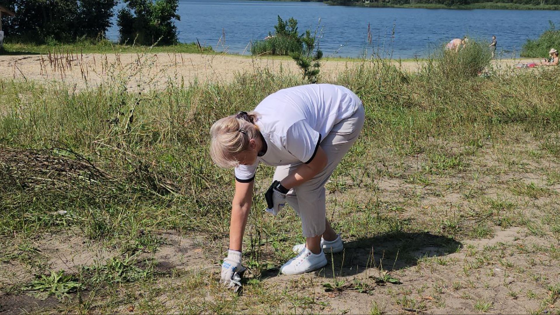 луховицы, экология,