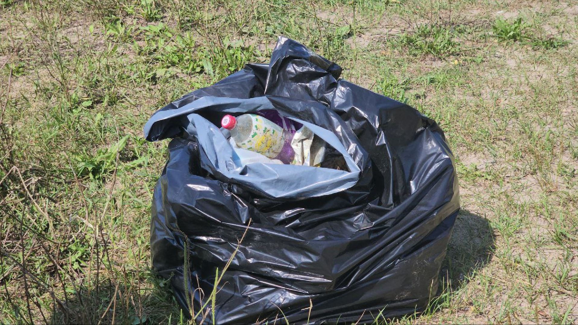 луховицы, экология,