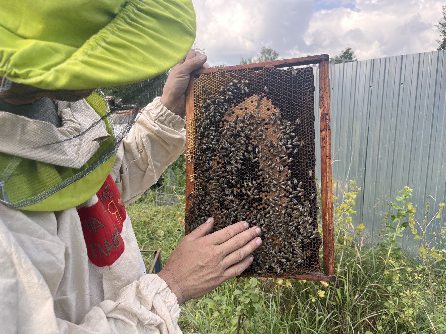 шатура, Шатура 2025, медосбор, Новости Шатуры , Шатура в лицах,