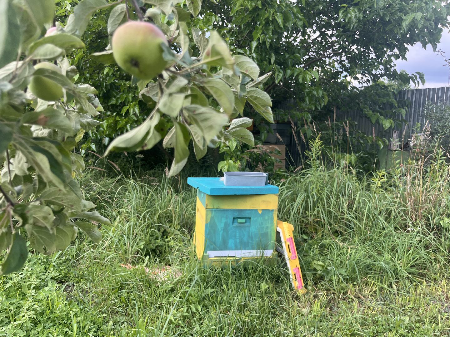 шатура, Шатура 2025, медосбор, Новости Шатуры , Шатура в лицах,