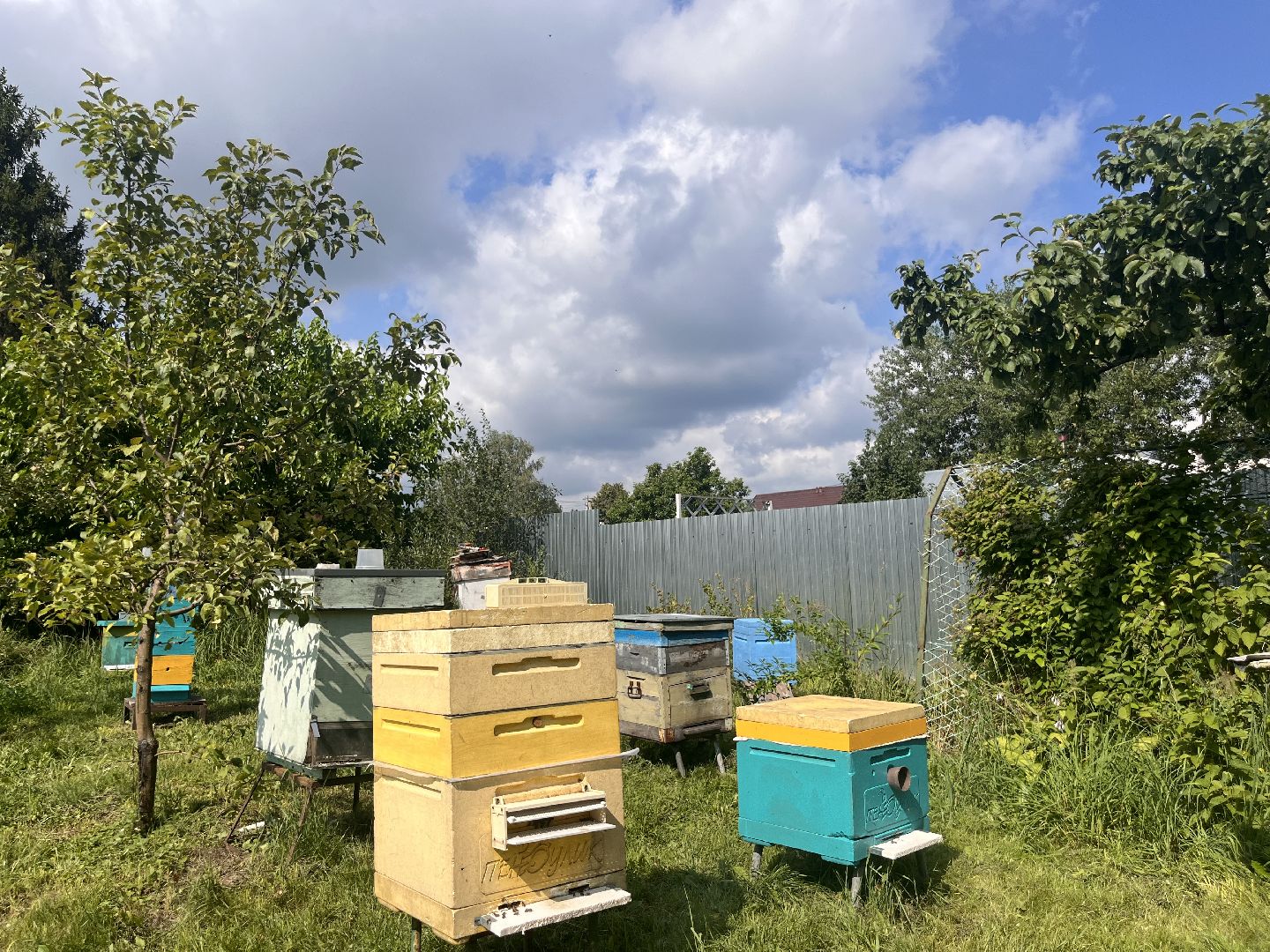 шатура, Шатура 2025, медосбор, Новости Шатуры , Шатура в лицах,