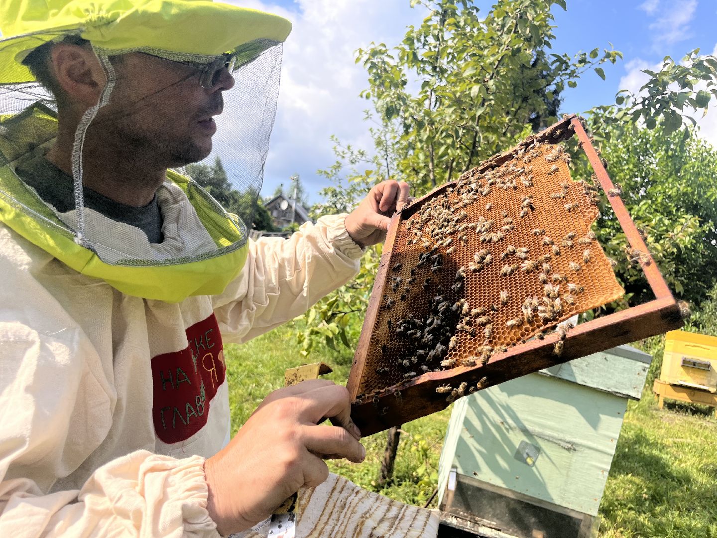 шатура, Шатура 2025, медосбор, Новости Шатуры , Шатура в лицах,