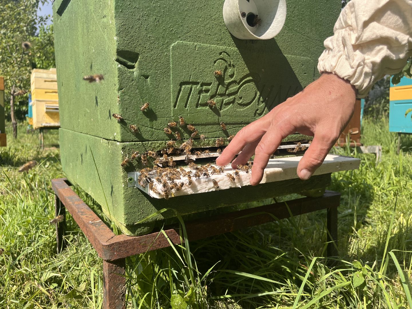 шатура, Шатура 2025, медосбор, Новости Шатуры , Шатура в лицах,