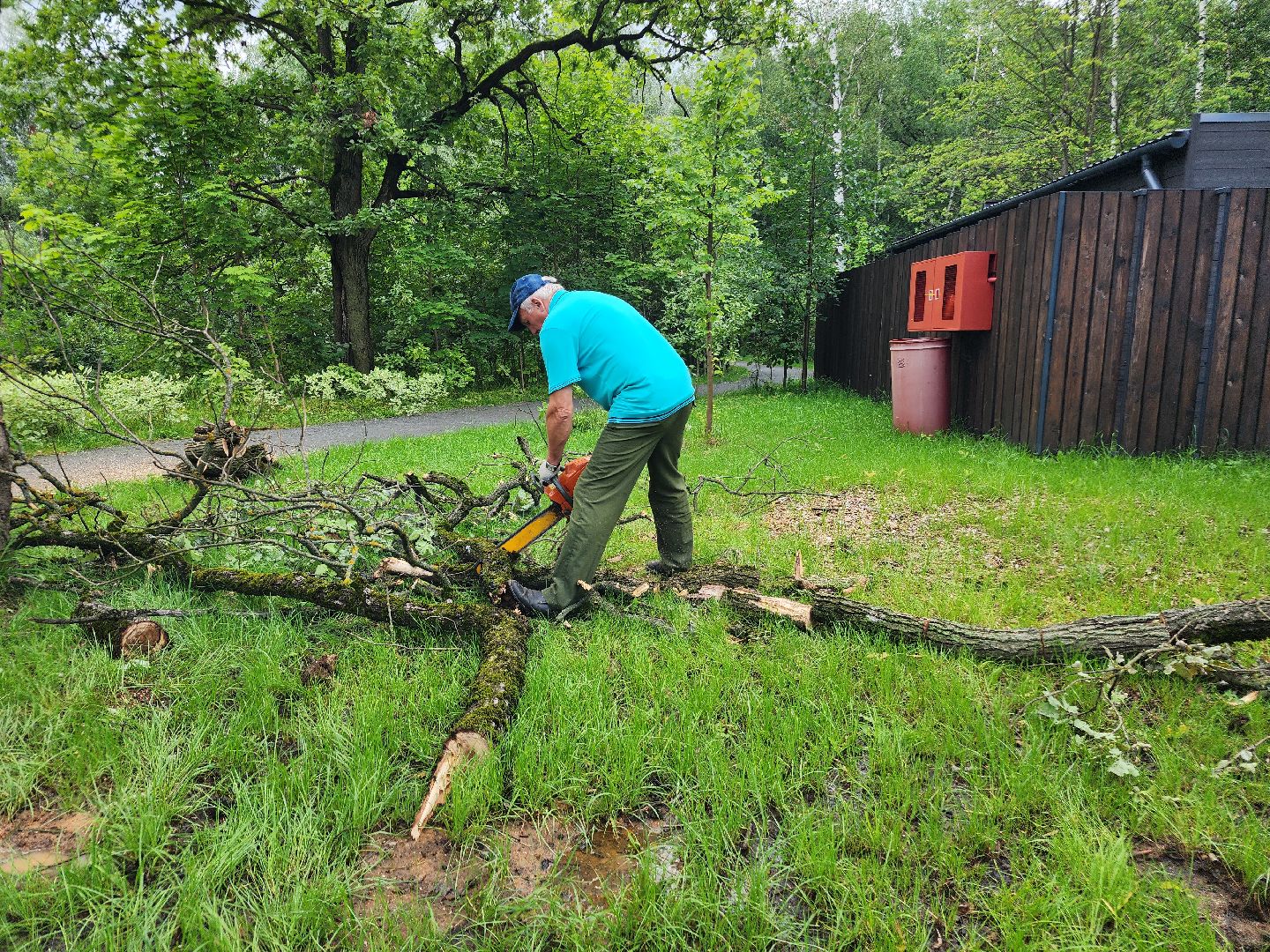 фрязино, опил деревьев, очистка пруда, лесопарк,