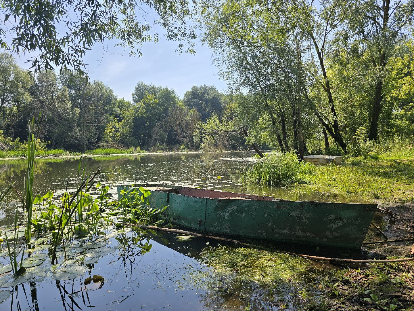 Коломна, вода россии, экологическая акция,