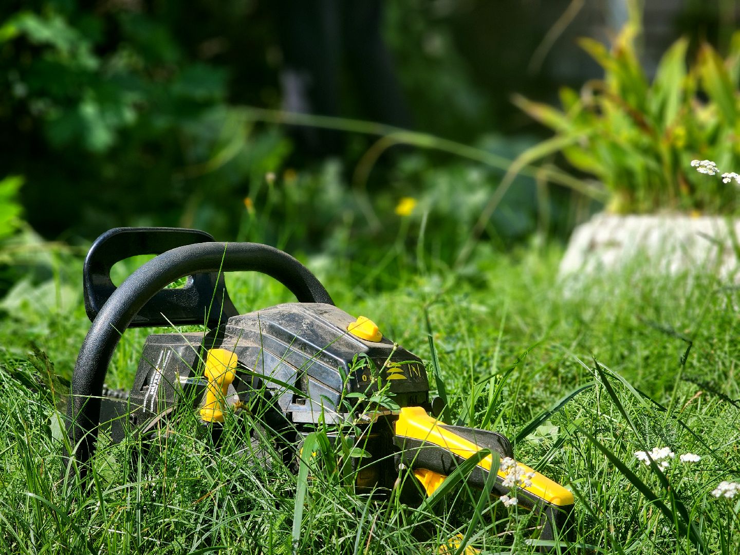 дубна,молодая гвардия, санитарная обрезка кустов, санитарная стрижка, школа 9,детский сад,