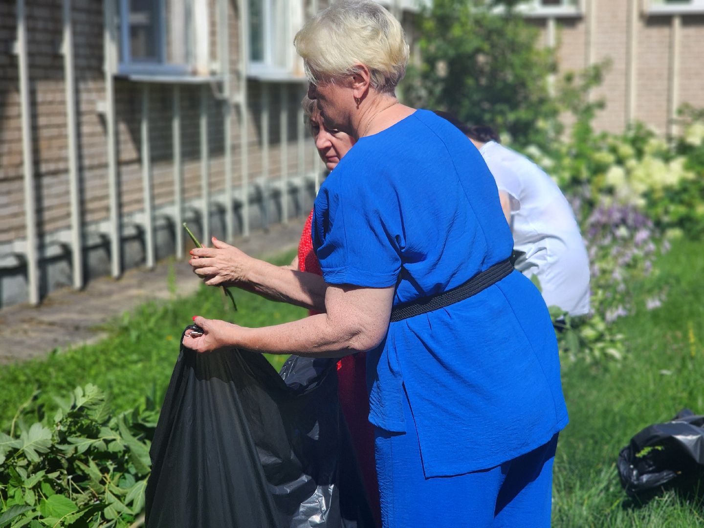 дубна,молодая гвардия, санитарная обрезка кустов, санитарная стрижка, школа 9,детский сад,