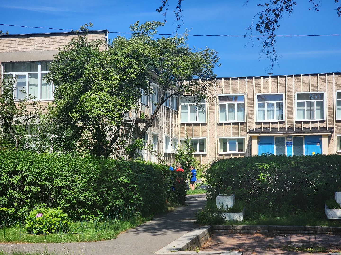 дубна,молодая гвардия, санитарная обрезка кустов, санитарная стрижка, школа 9,детский сад,