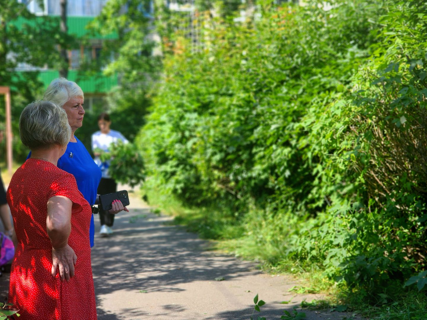дубна,молодая гвардия, санитарная обрезка кустов, санитарная стрижка, школа 9,детский сад,