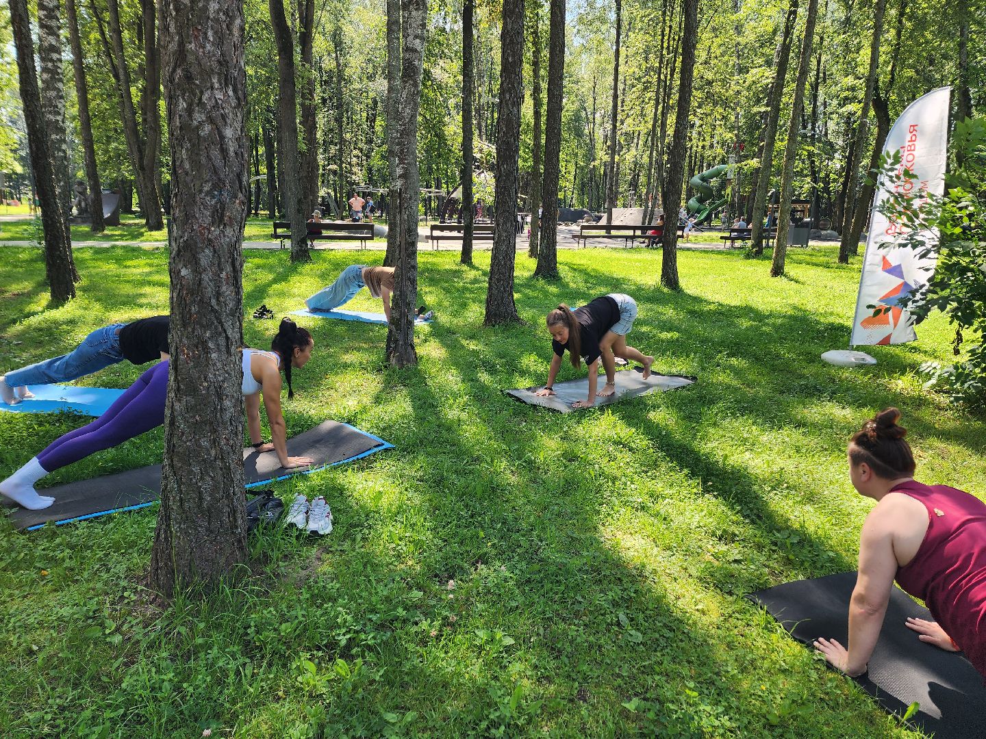 солнечногорск, парк, лето, творчество , йога,