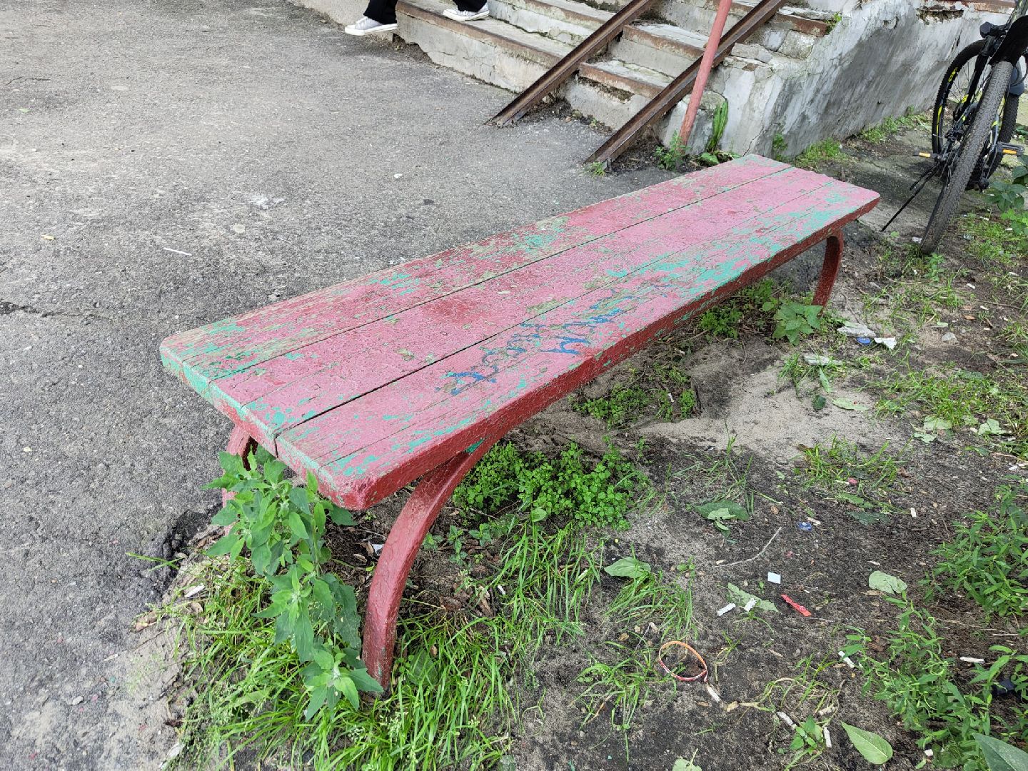 общество, лыткарино, выездная администрация,