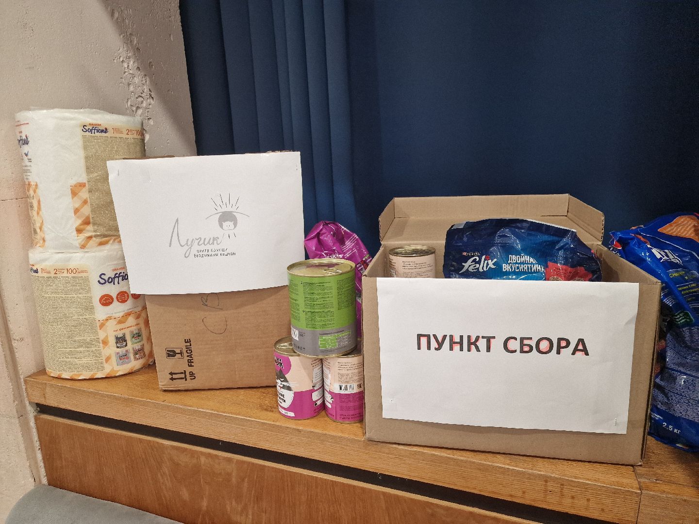 Дубна, Волонтерство, Помощьживотным,