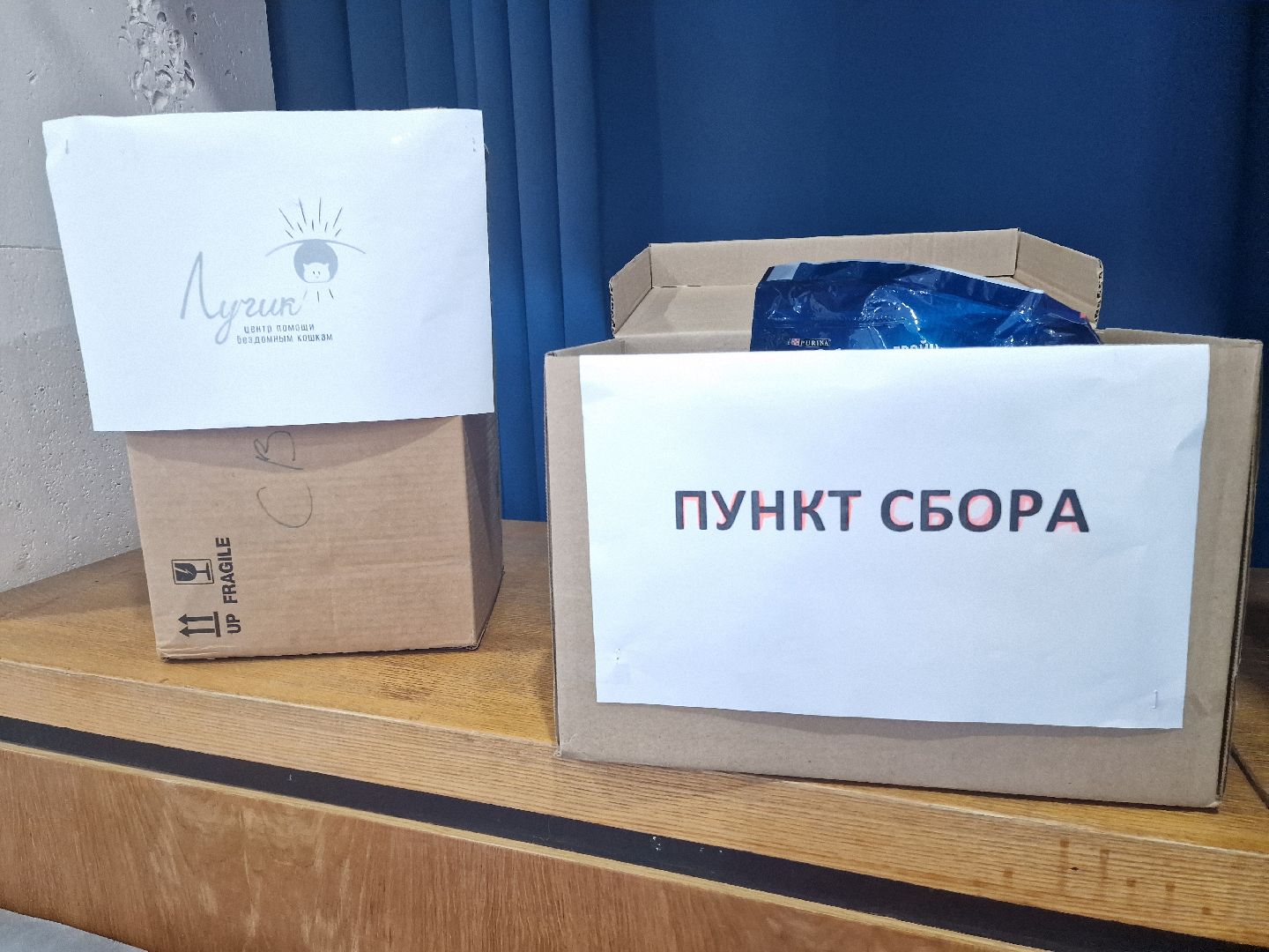 Дубна, Волонтерство, Помощьживотным,