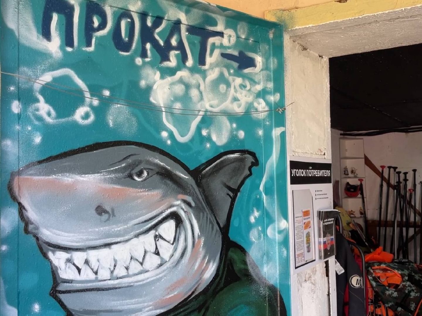 зарайск, вейкбординг, лодочная станция, лето в подмосковье,