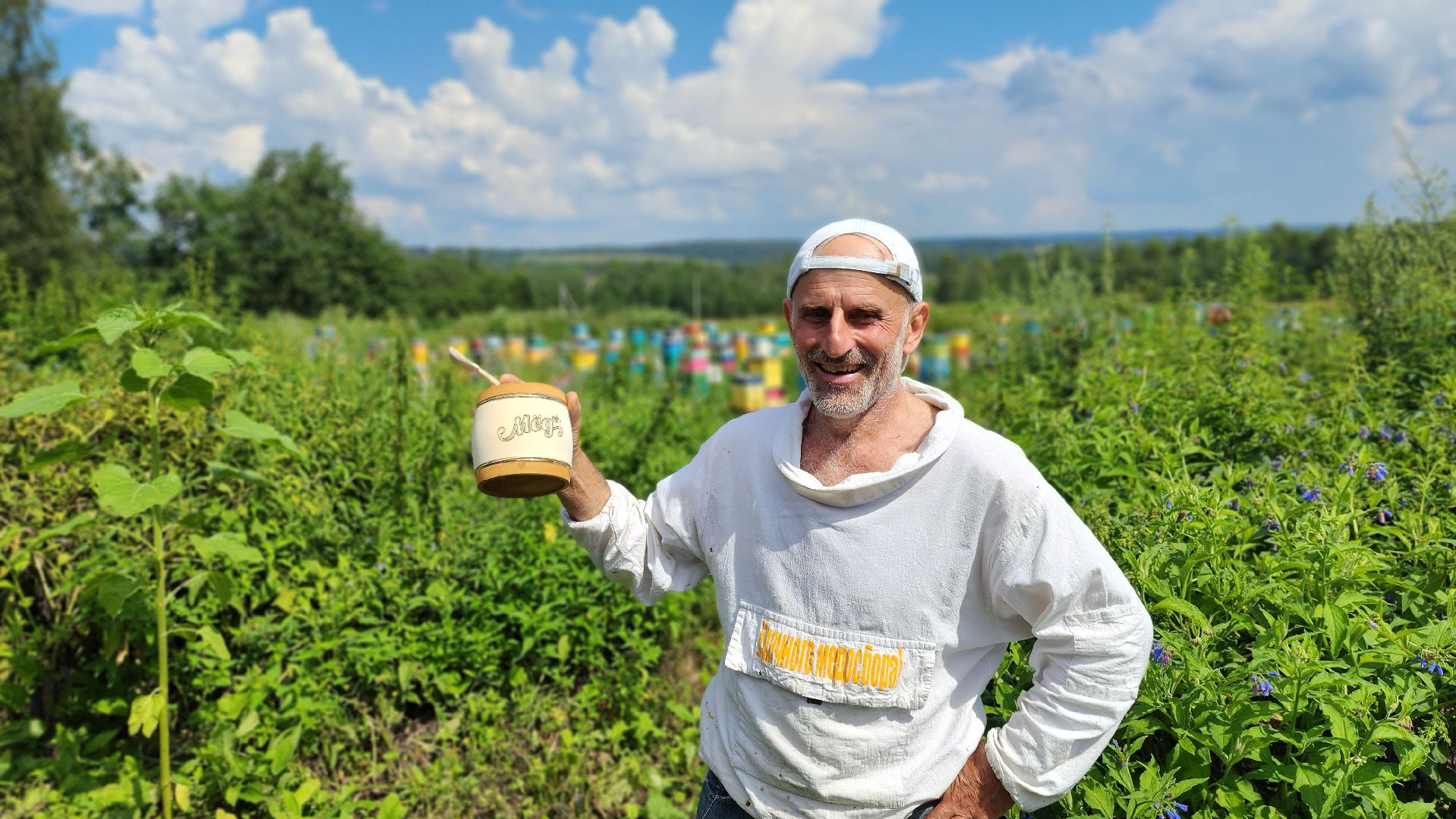 солнечногорск, деревня заовражье, пчелы, хьюман стори, пасека,