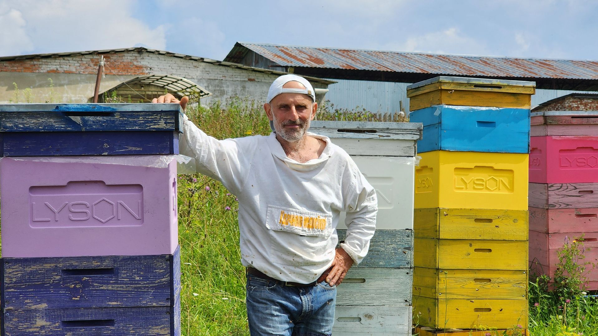 солнечногорск, деревня заовражье, пчелы, хьюман стори, пасека,