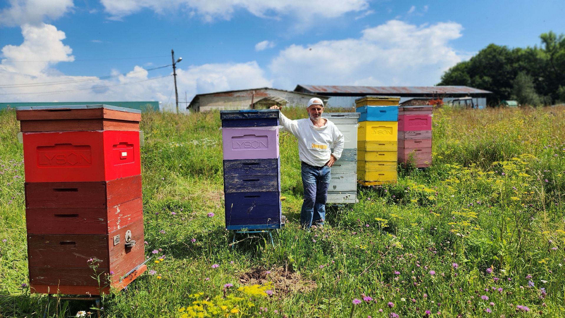 солнечногорск, деревня заовражье, пчелы, хьюман стори, пасека,