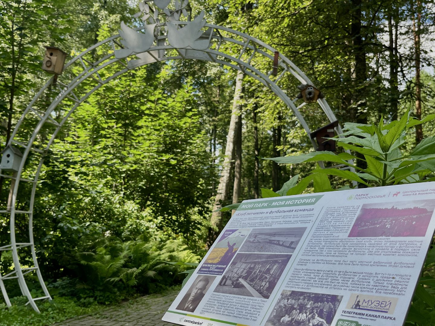 наро-фоминск, центральный парк наро-фоминска, история парка, щербатовское общество, парки подмосковья,наро-фоминский историко-краеведческий музей,