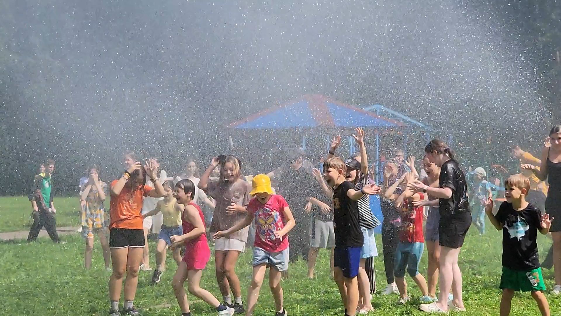 Подольск, Единый день профилактики, лагерь ромашка, Пожарные, Полиция, Кинологи,
