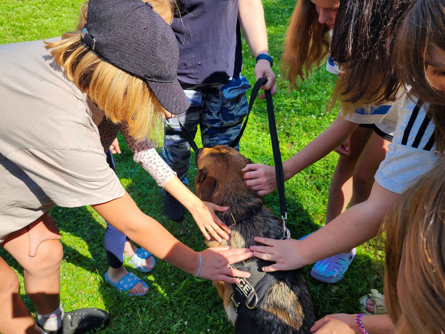 Подольск, Единый день профилактики, лагерь ромашка, Пожарные, Полиция, Кинологи,