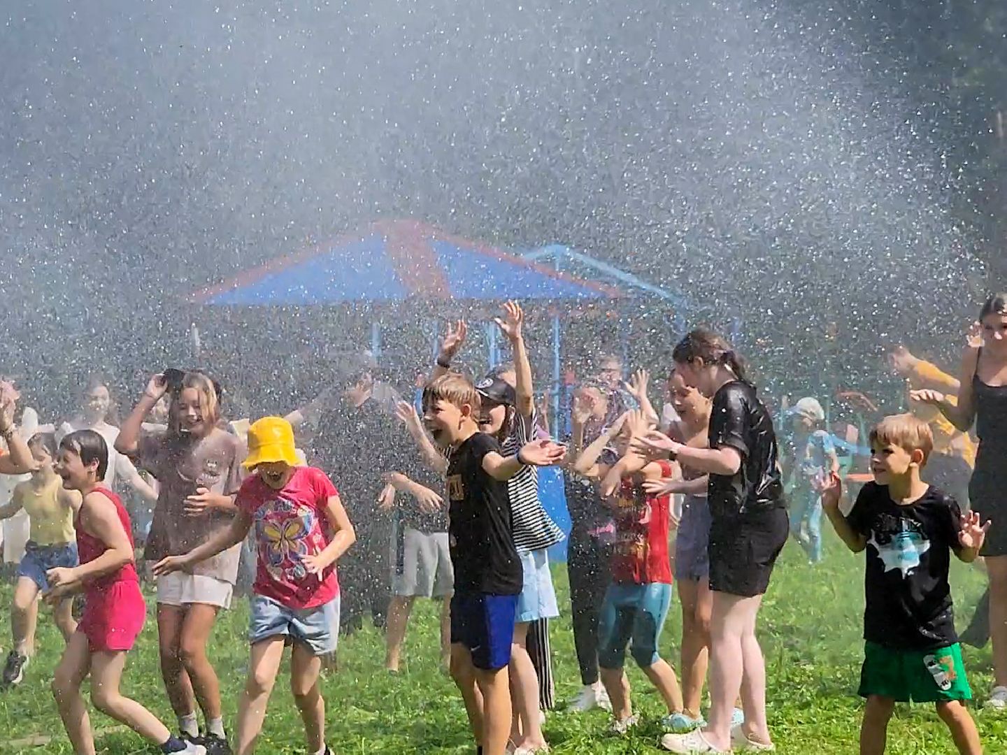 Подольск, Единый день профилактики, лагерь ромашка, Пожарные, Полиция, Кинологи,