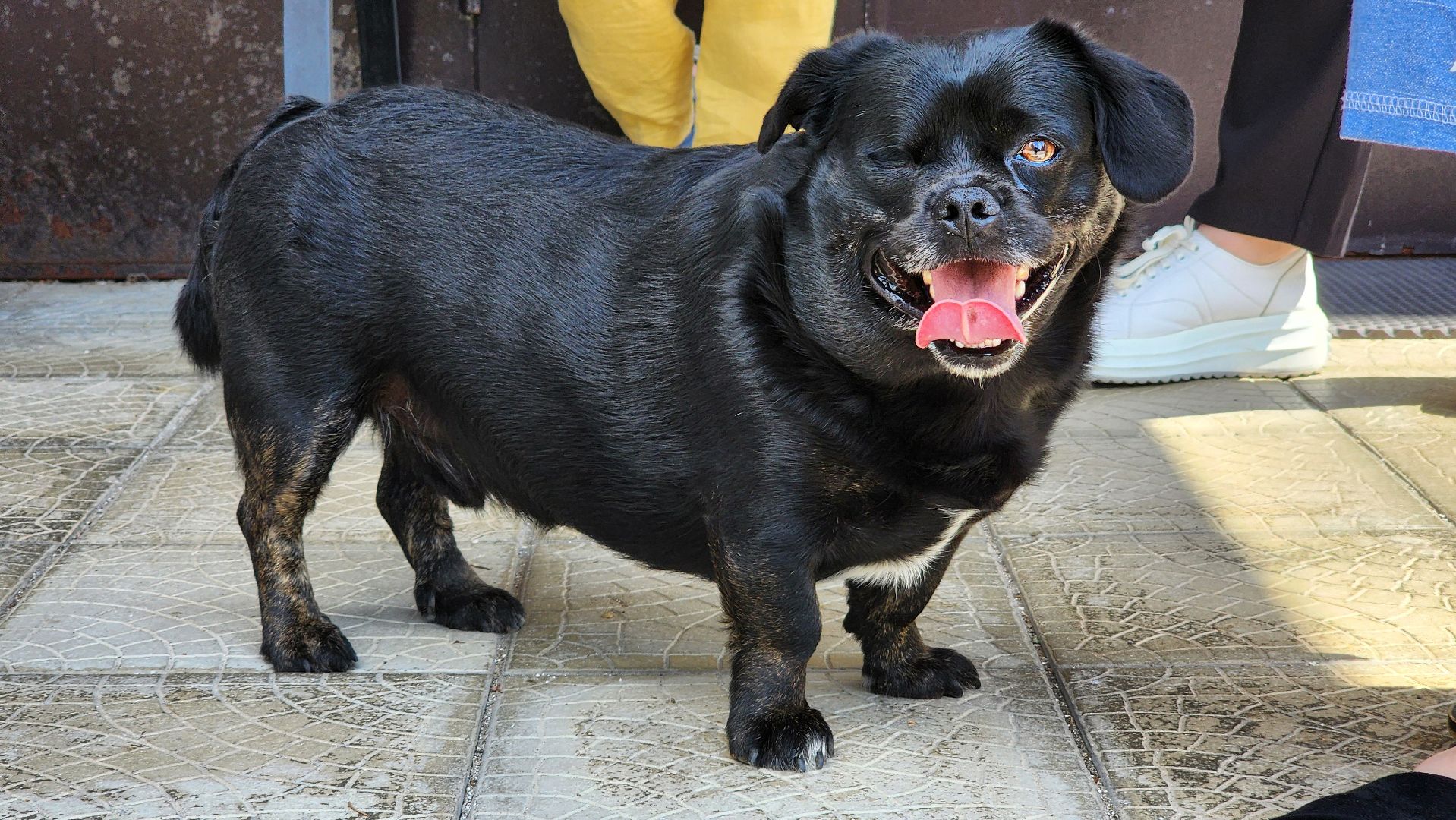 Руза, Грибцово, Жкх,