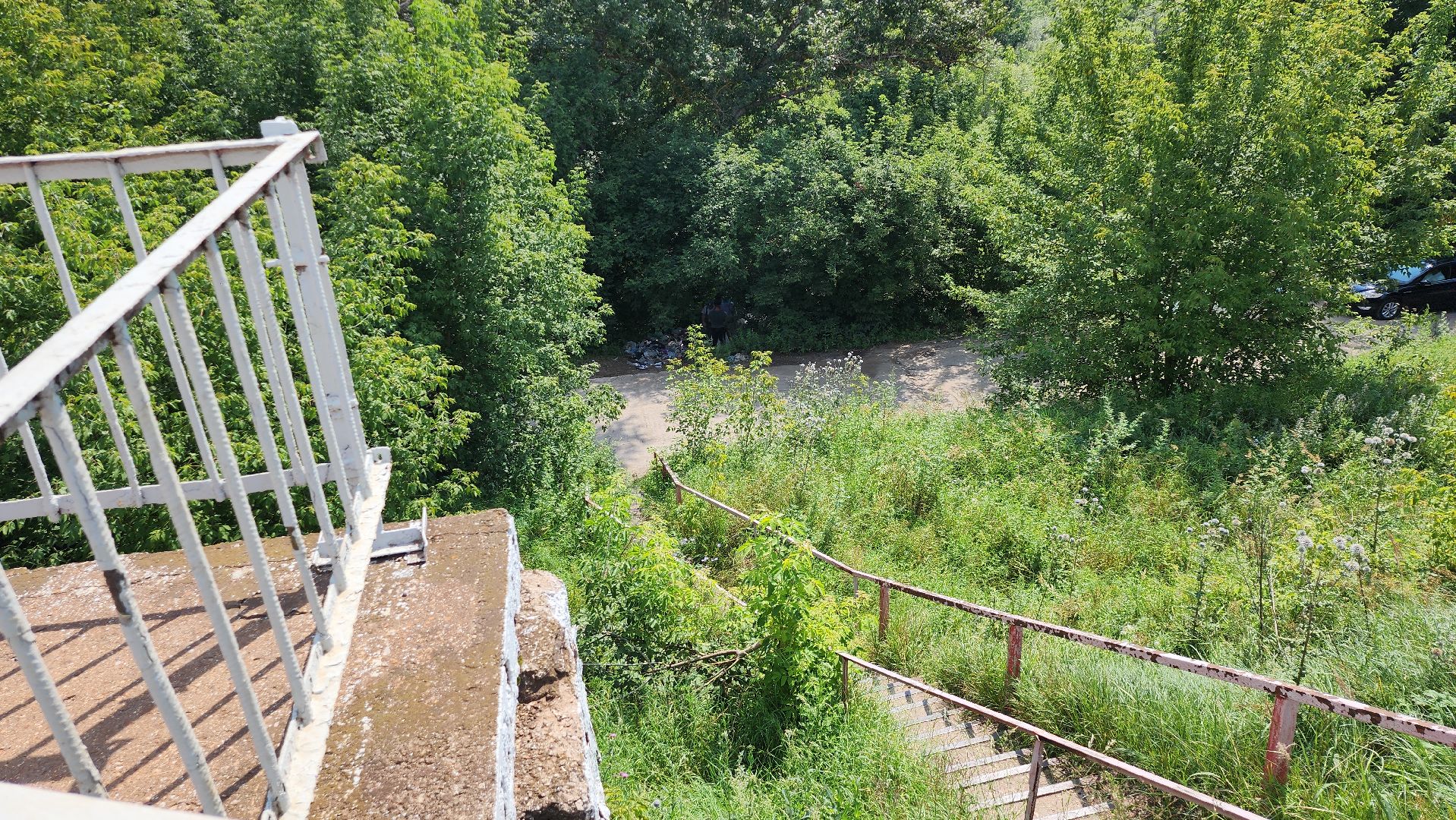 серпухов, подмосковье, центр по профориентации и трудоустройству молодеж, подростки на уборке, павленское озеро, экология,